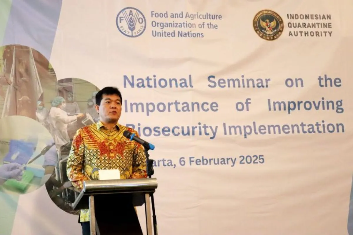 Barantin Pastikan Kuda Impor dari Belanda Penuhi Standar Kesehatan dan Administrasi