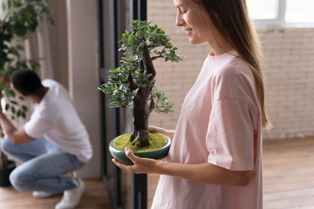 merawat bonsai