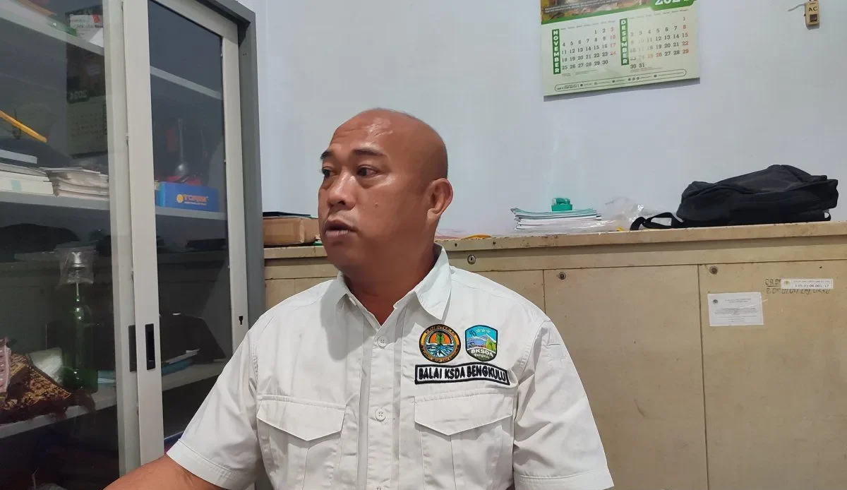 Evakuasi Beruang Madu di Bengkulu Tengah: BKSDA Pasang Perangkap untuk Keamanan Warga