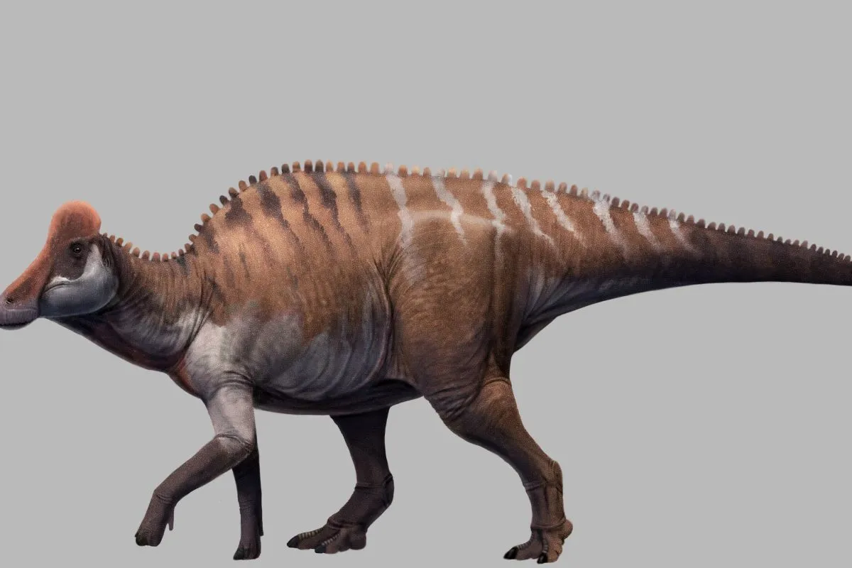 Penemuan Fosil Dinosaurus Lambeosaurinae