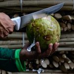 tips memecah kelapa