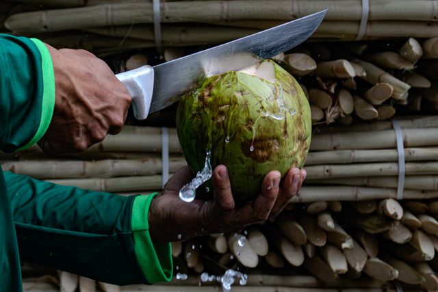 tips memecah kelapa
