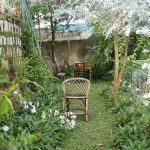 taman belakang rumah