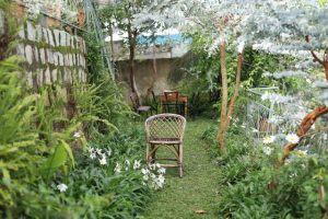 taman belakang rumah