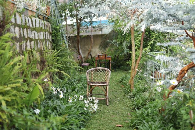 taman belakang rumah